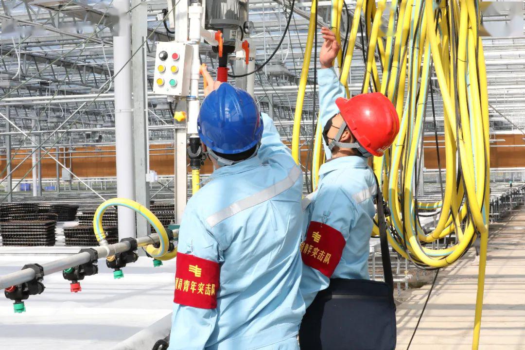 草海機場最新動態(tài)揭秘，建設(shè)進展、航班信息及未來展望