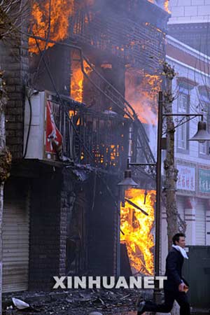 西藏最新事件，雪域高原的溫馨日常觀察