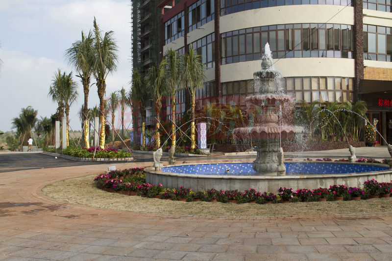 棕櫚水城最新動態(tài)，塑造理想生活新標桿！