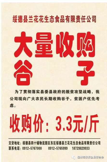 淄川最新財務(wù)招聘，職業(yè)發(fā)展的理想選擇
