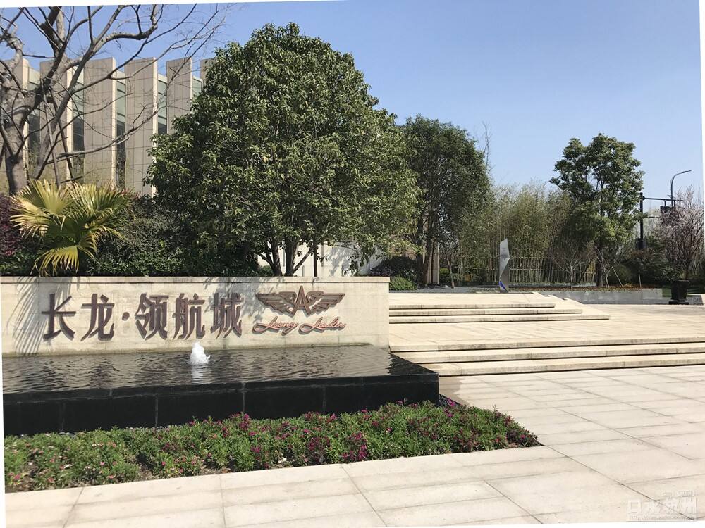 長龍領航最新動態(tài)，駕馭變革，開啟知識海洋的勵志之旅