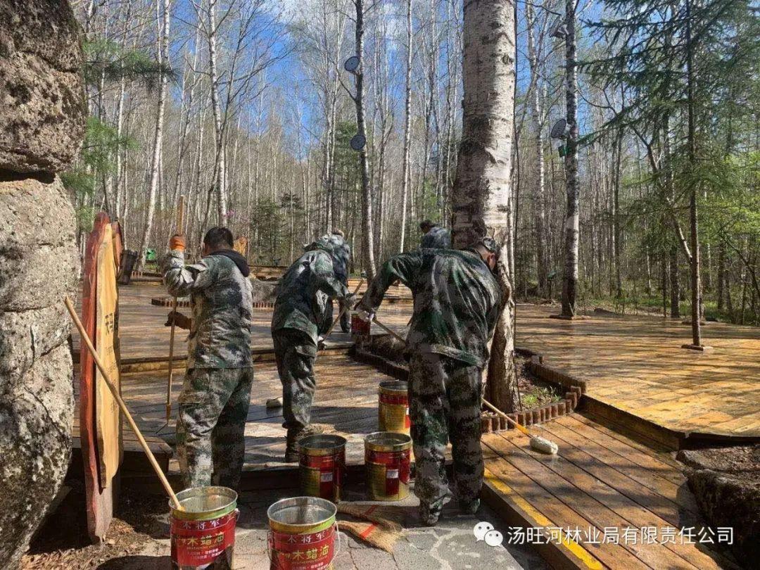 探尋神秘寶石世界的獨(dú)特魅力，最新奇石新聞報(bào)道