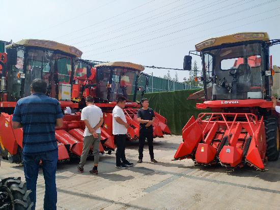 邳州玉米最新價格，時代見證下的市場動態(tài)