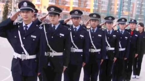 寧國最新保安招聘及其探討，行業(yè)現(xiàn)狀與發(fā)展趨勢分析