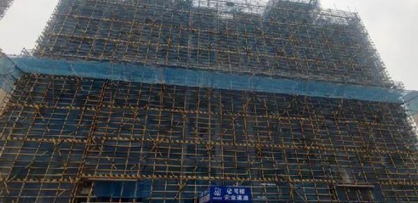 2024天天彩資料,數(shù)據(jù)整合決策_THZ10.556DIY工具版