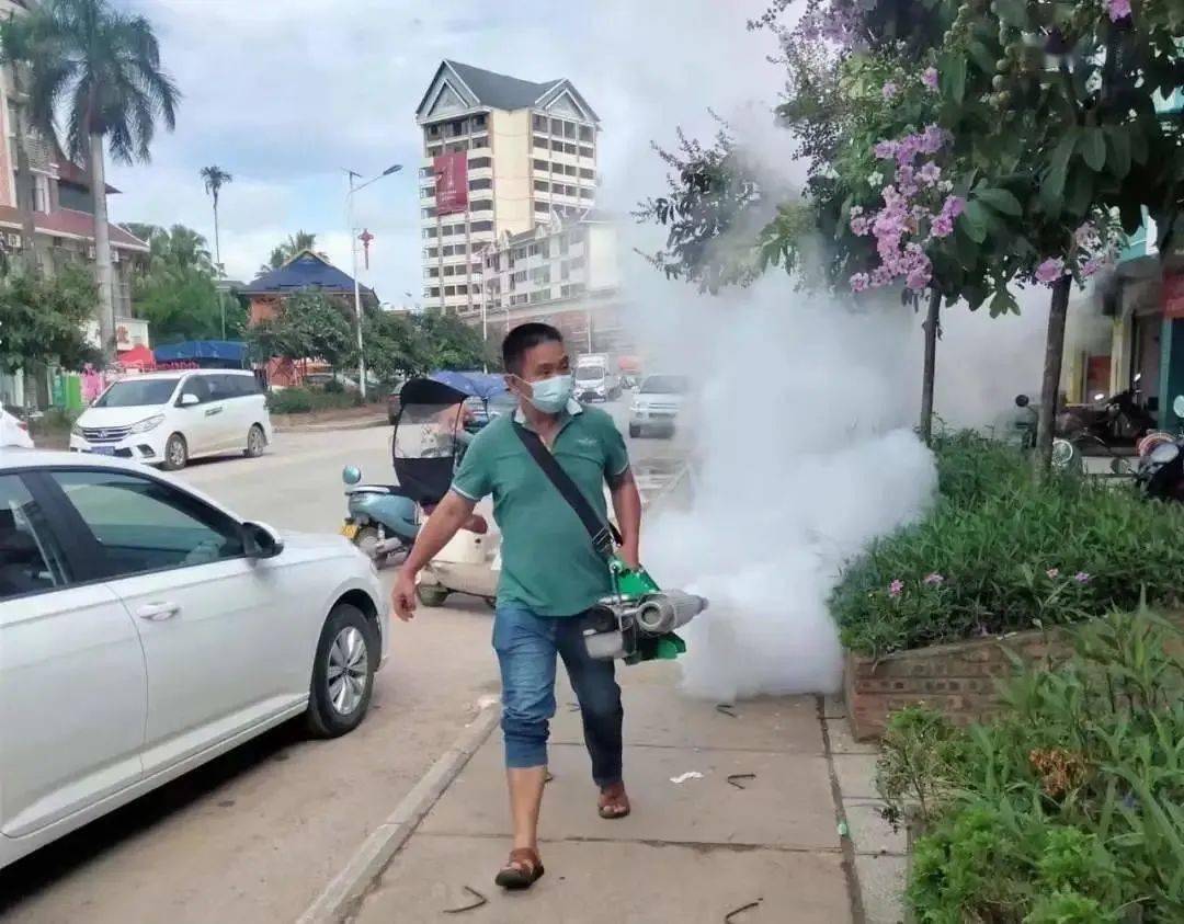 景洪登革熱最新疫情動態(tài),挑戰(zhàn)與自信之光的博弈