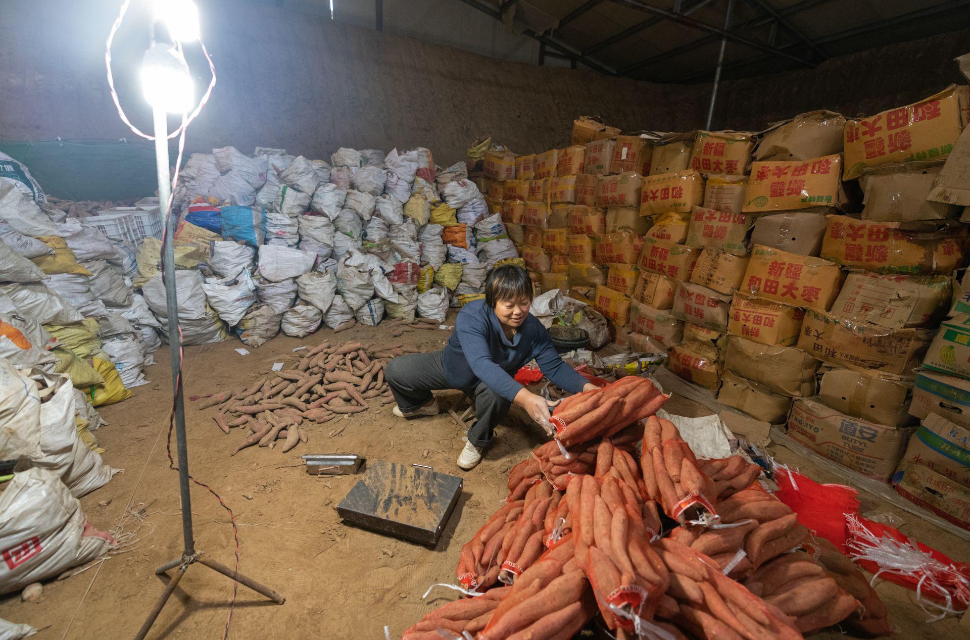 時(shí)代背景下的夏津地瓜最新市場價(jià)格觀察