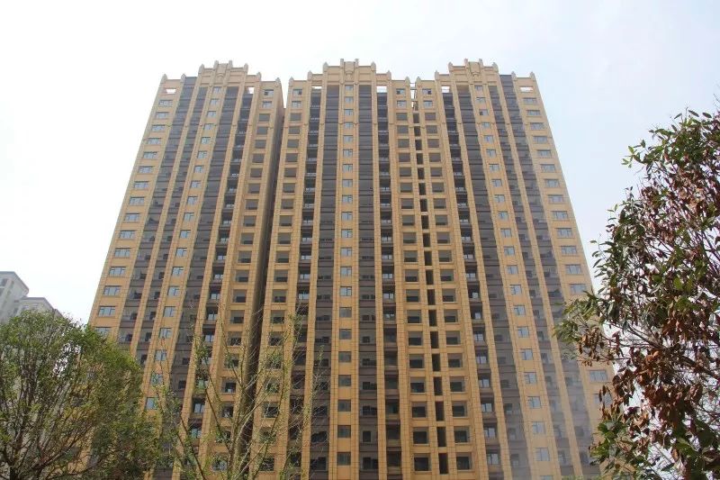 紫荊城邦最新動(dòng)態(tài)，揭開(kāi)未來(lái)生活新篇章的序幕