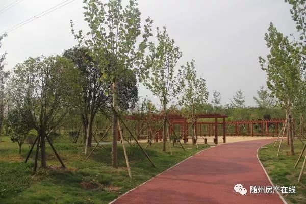 隨州桃園公園最新動態(tài)揭秘，驚喜連連，不容錯過！
