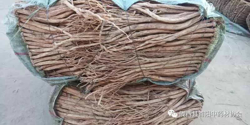 渭源黨參干貨最新價格及獲取指南，了解黨參干貨價格走勢與行情分析