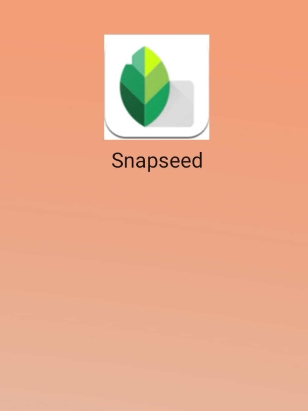 最新snapseed中文版，科技重塑影像，讓生活因攝影更精彩