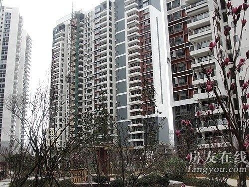 綠地長島公寓最新價格揭秘，小巷深處的隱藏寶藏