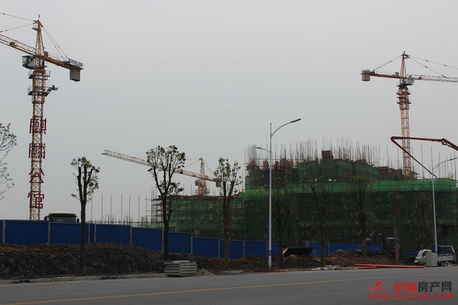 池州麒麟公館最新動態(tài)揭秘，最新進(jìn)展與資訊更新