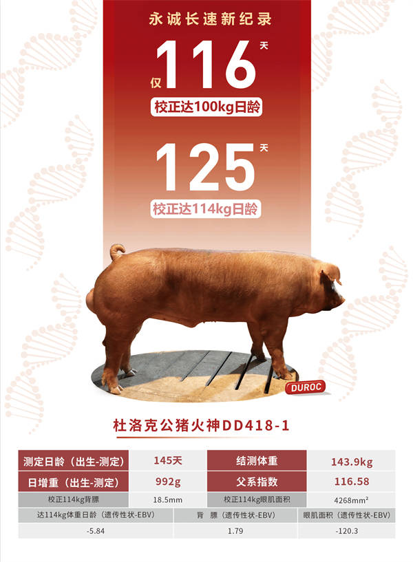 香港二四六最快開(kāi)獎(jiǎng),專業(yè)解讀操行解決_HMG83.231光輝版