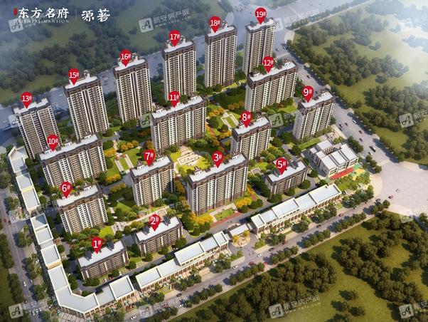 明光東郡最新動(dòng)態(tài)，友情的綻放與家的溫馨日常