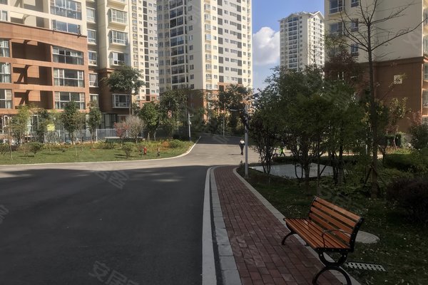 建禮家園最新動態(tài)，小巷中的隱藏瑰寶揭秘