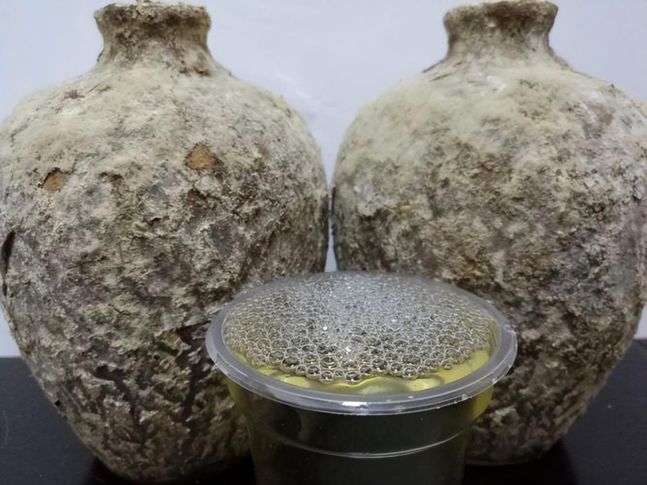 仁懷房屋出售最新信息，科技與家居融合，未來家居新體驗(yàn)重磅推出