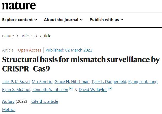 新澳開獎結(jié)果資料查詢,安全設(shè)計解析說明法_PIA47.734觸感版