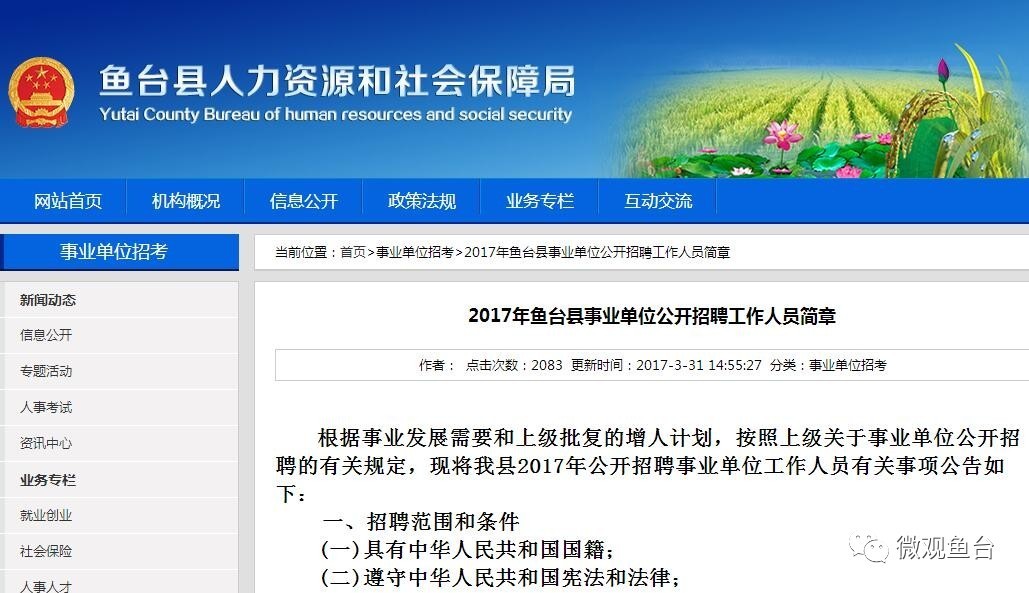 魚臺最新招聘信息大全，求職步驟指南與招聘信息更新速遞