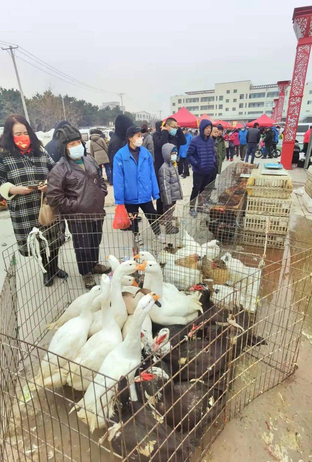 最新?lián)犴槾蠹瘯r(shí)間地點(diǎn)及步驟指南