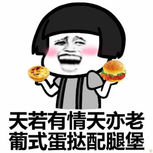 小巷深處的歡樂小鋪，最新幽默搞笑圖片大放送