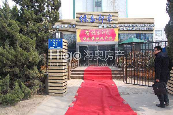 青島大洋花園最新動(dòng)態(tài)，科技重塑未來花園的極致體驗(yàn)