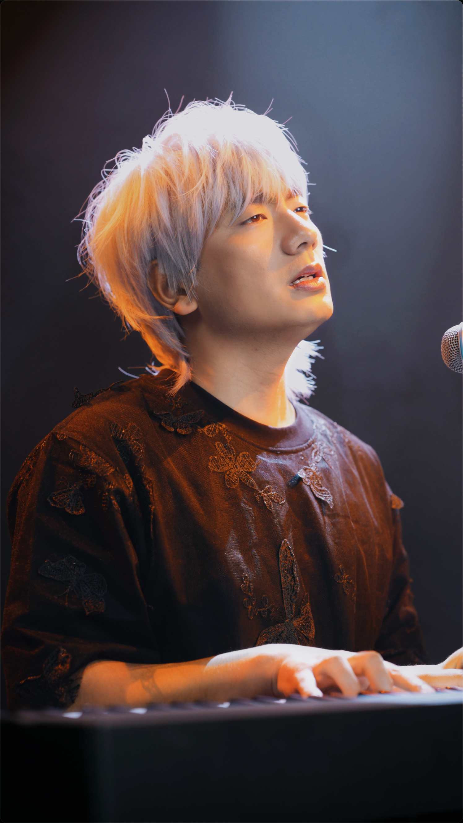 冷漠2024最新預告新歌，音樂與時代交融的期待之聲