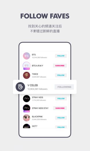 VAPP最新版下載，觀點(diǎn)論述與獲取渠道