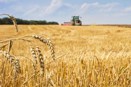 鶴壁小麥最新行情，科技引領(lǐng)農(nóng)業(yè)新時(shí)代，市場智能體驗(yàn)新篇章