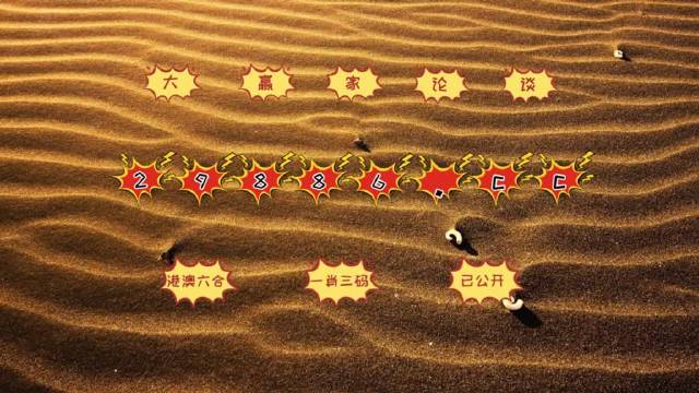 澳門九點資料,目前現(xiàn)象解析描述_VJY58.777可靠性版