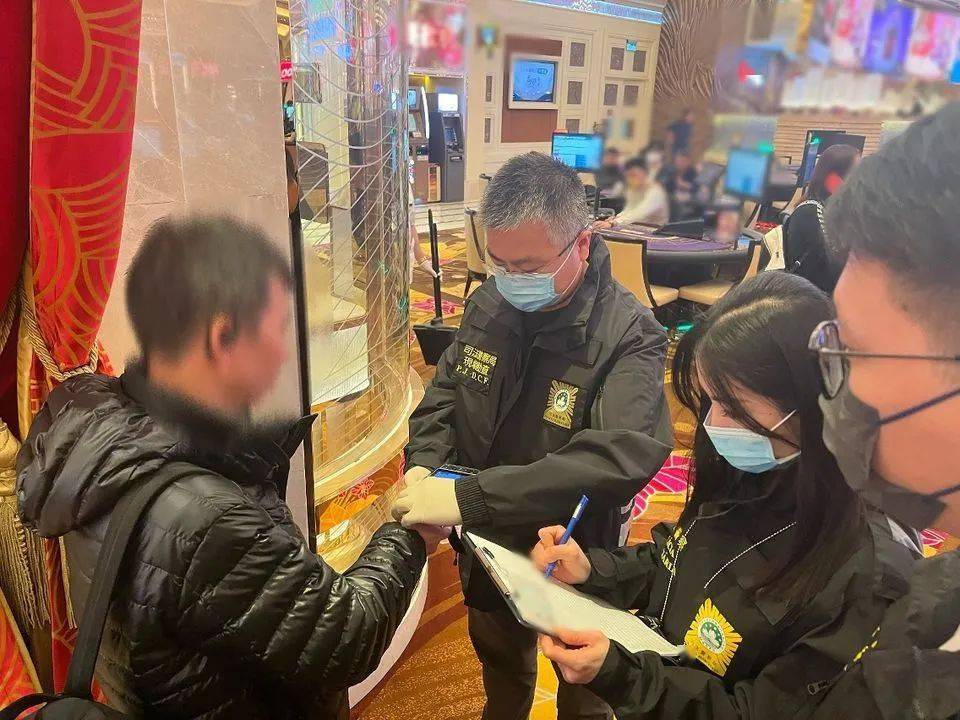 新澳門一肖一碼精準資料公開,社會承擔實踐戰(zhàn)略_XRF83.344旅行助手版