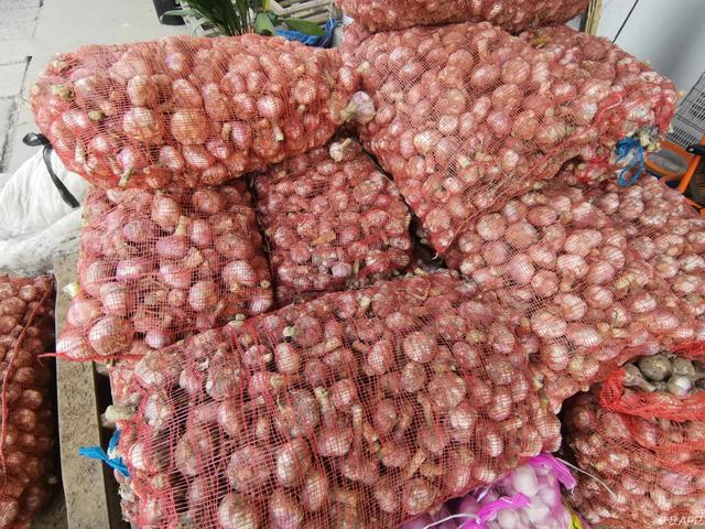 邳州大蒜最新價格與市場波動中的多元觀點分析