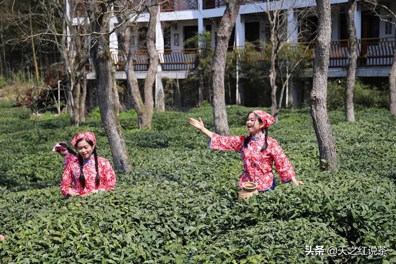 關(guān)于皇后直播探索獨特魅力小店的直播內(nèi)容探討與下載指南