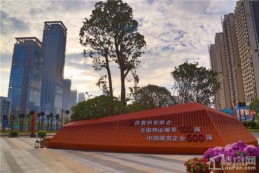 南寧彰泰城最新動態(tài)，解讀其最新發(fā)展及影響的一種觀點分析