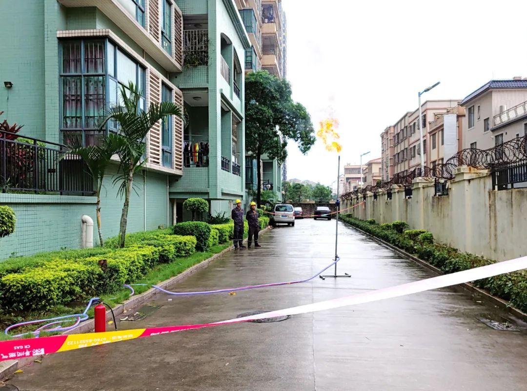 中山東鳳佛奧最新動態(tài)，自然美景的探索之旅，尋找內(nèi)心平和與寧靜
