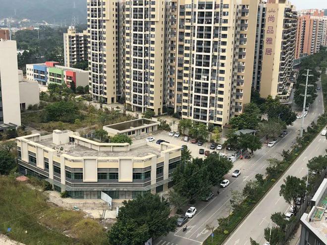 膠南山水雅居最新動態(tài)，鄰里日常趣事與情感紐帶分享