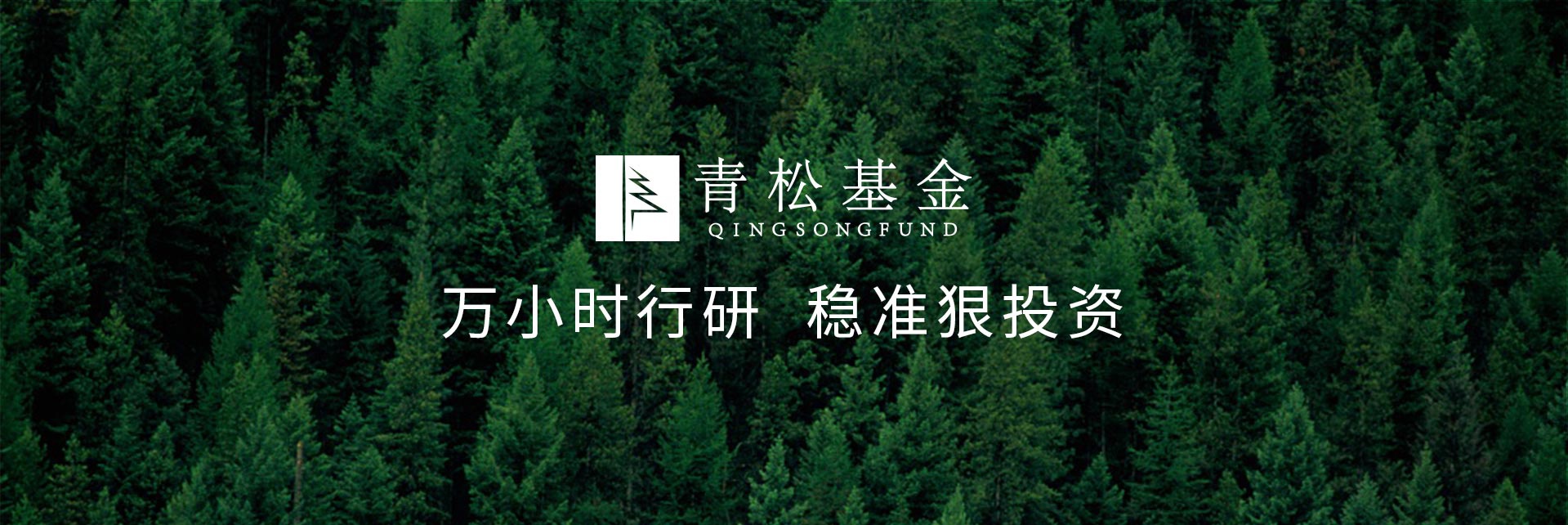 長(zhǎng)青樹(shù)眾籌最新動(dòng)態(tài)，背景、發(fā)展與時(shí)代地位探索