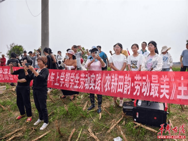 桃源木塘垸鄉(xiāng)新動態(tài)，趣事連連，真摯友情綻放鄉(xiāng)間