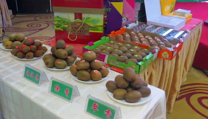 嘉興對(duì)接上海最新進(jìn)展，城市崛起中的自信與成就感展現(xiàn)新面貌