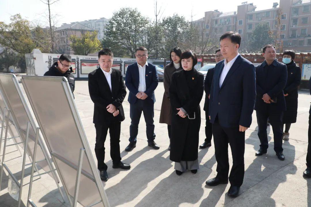 良渚大陸村最新規(guī)劃圖揭秘，小巷中的獨特風(fēng)情探索