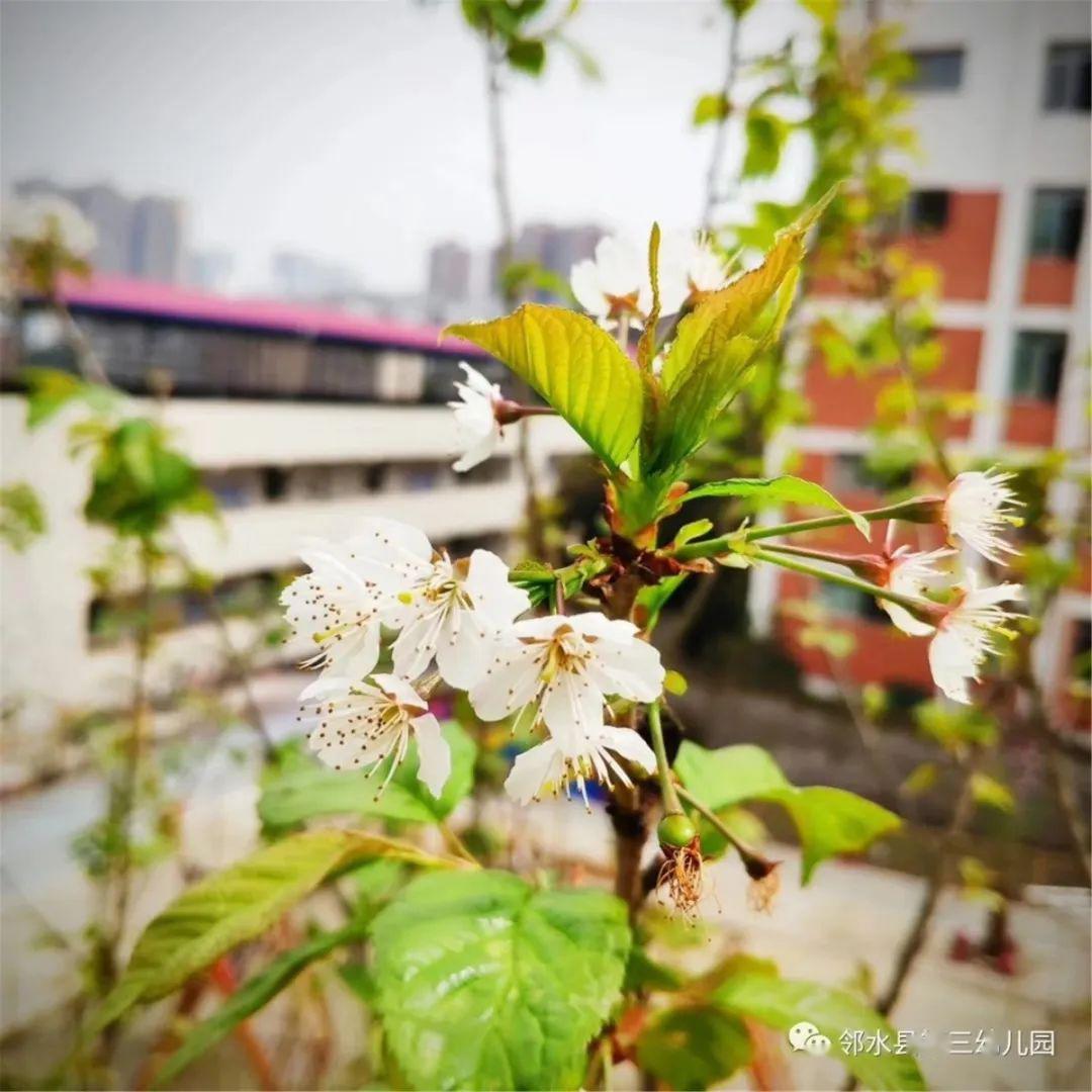 鄰水縣興仁鎮(zhèn)最新動態(tài)更新