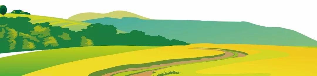 藍(lán)田縣未來藍(lán)圖，最新發(fā)展規(guī)劃揭秘