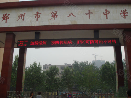 中原區(qū)九龍城最新動態(tài)深度解析，最新進展與觀點闡述