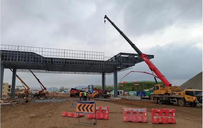 深度解析與探討，最新元龍劇情分析