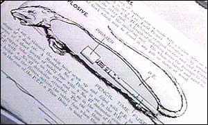 美國填尸最新進(jìn)展，高科技重塑生活，未來科技魅力體驗