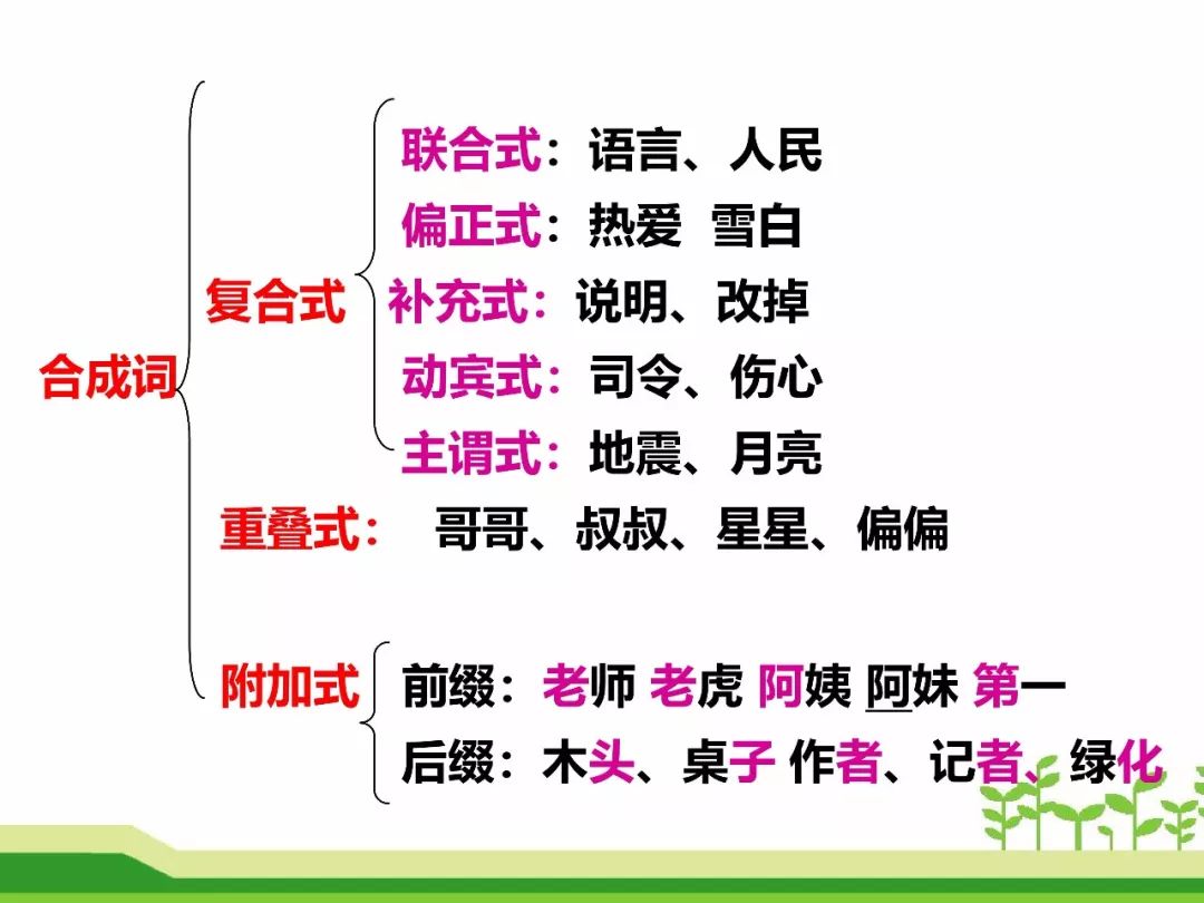 最新合成詞，語(yǔ)言發(fā)展的微觀視角探索