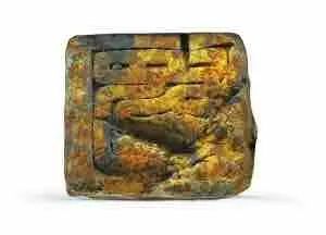 余厚蜀最新動態(tài)，科技前沿探索與行業(yè)創(chuàng)新引領