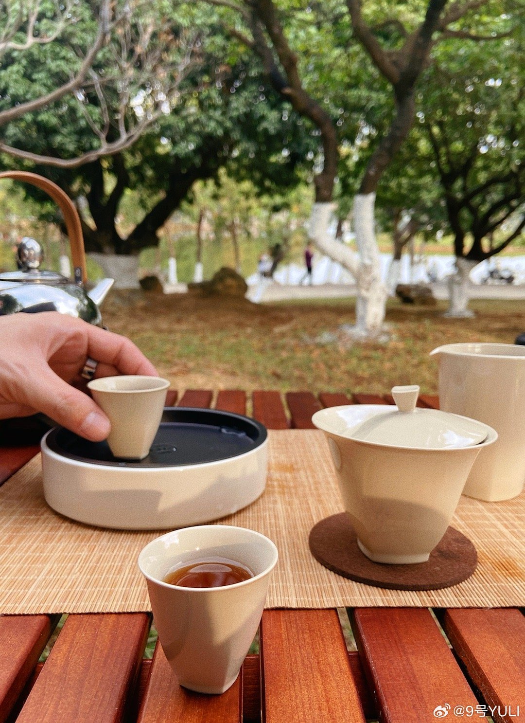 東莞最新品茶嘗鮮指南