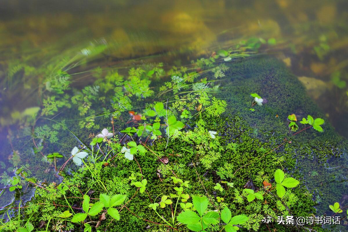 南山高樓崛起，背景、發(fā)展與時(shí)代地位全景解析