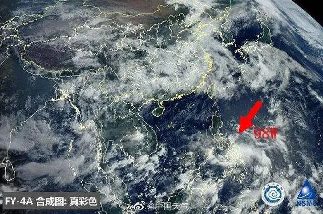 臺風鸚鵡的最新動態(tài)，逆風翱翔的力量與學習魅力